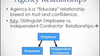 Introduction to Agency Law [upl. by Oby]