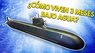 ¿Cómo vive la TRIPULACIÓN dentro de un SUBMARINO  ¿Cuál es su rutina bajo el agua [upl. by Akenn8]