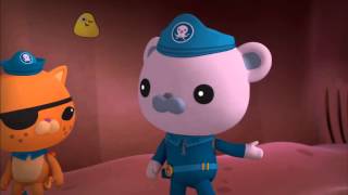 Octonauts  s01e01  The Whale Shark [upl. by Gwenneth]