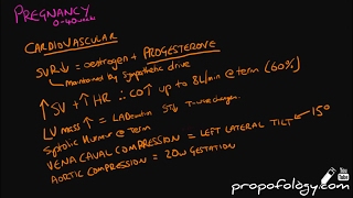 Pregnancy Physiology Gastrointestinal amp Renal System – Obstetrics Course  Lecturio [upl. by Ynor]