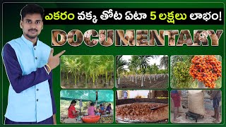 Areca Nut Farming in Telugu  Vakka Sagu  Betel Nut [upl. by Liam]