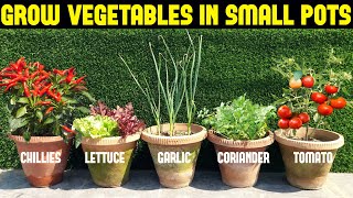 Vegetables You Can Grow In Small Pots  Small Space Gardening [upl. by Klement]