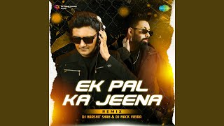 Ek Pal Ka Jeena  Remix [upl. by Kachine]