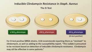 Antibiotic Resistance Antibiotics  Lecture 9 [upl. by Cob]