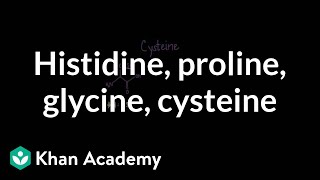 Special cases Histidine proline glycine cysteine  MCAT  Khan Academy [upl. by Giustino]