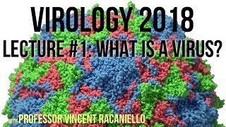 Virology Lectures 2018 1 What is a Virus [upl. by Handal270]