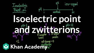 Isoelectric point and zwitterions  Chemical processes  MCAT  Khan Academy [upl. by Riha]