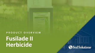 Best PostEmergent Herbicide for Grassy Weeds [upl. by Ettenav]