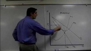 Monopoly Graph Review Microeconomics [upl. by Ailahtan]