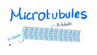 Microtubules [upl. by Ayhtin203]