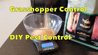 how to prevent and kill Grasshoppers DIY review and how to apply Nolo Bait Organic gardening tip [upl. by Leeann786]