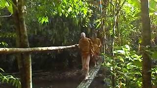 Dtao Dum Forest Sangha Abode [upl. by Sherurd]