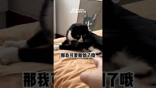 【搞笑动物配音】122，一会奖励你爱吃的大嘴巴子 [upl. by Joelynn]