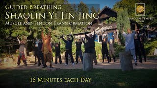 易筋經 · Yi Jin Jing with Guided Breathing · inkl Anleitung [upl. by Lorak974]