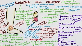 Understanding Squamous Cell Carcinoma [upl. by Attelrac503]