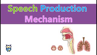 Speech Production Mechanism [upl. by Nirraj]