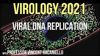 Virology Lectures 2021 8  Viral DNA Replication [upl. by Mandell]