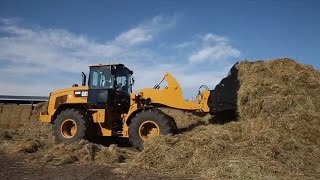 Cat® M Series Small Wheel Loaders Overview [upl. by Malony228]