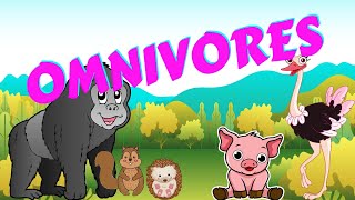 Omnivores  Types of Animal  Science for Kids [upl. by Enitsuj]