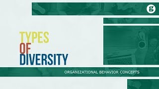 Types of Diversity [upl. by Rhoades]