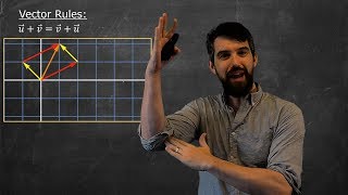 Vector Spaces  Definition amp Examples [upl. by Akeirahs152]