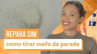 Como remover mofo da parede Confira 5 dicas caseiras com Paloma Cipriano  CASA DE VERDADE [upl. by Sitnik]