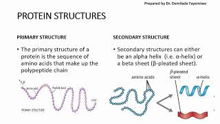 Chapter 23 Biological Molecules  Proteins [upl. by Vilma96]