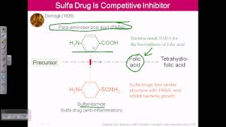 Enzyme inhibitor competitive inhibition [upl. by Aldrich]