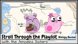 Stroll Through the Playlist a Biology Review [upl. by Yeslek]