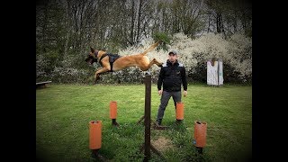 Sebastian Schäfer  Polizei amp Diensthunde Technikarbeit [upl. by Eldora]