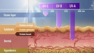 NonMelanoma Skin Cancer [upl. by Jarrell]