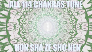 All 114 chakras meditation Hon Sha Ze Sho Nen Reiki Light for ALL CHAKRAS entire path UP to Source [upl. by Anastatius]