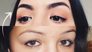 HOW TO GROW THICKER EYEBROWS NATURALLY amp FAST [upl. by Yenttihw670]