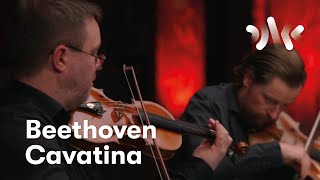 Beethoven Cavatina from String Quartet No13 [upl. by Divadnahtanoj]