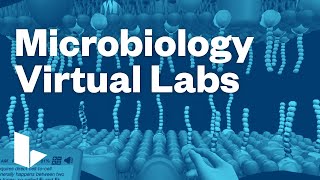 Labster Microbiology Virtual Labs [upl. by Sherline]