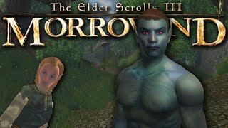 Morrowind but its Oblivion [upl. by Willyt]