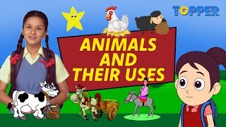 Exploring the Uses of Animals  Endangered Animals  Class 1 to 5 [upl. by Anyrak23]