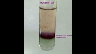 Molisch Testa group test for Carbohydrates [upl. by Evania]