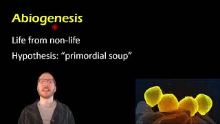 Biology Spontaneous Generation vs Biogenesis [upl. by Garbers]