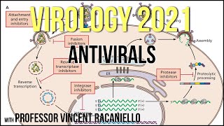 Virology Lectures 2021 20  Antivirals [upl. by Lashoh]