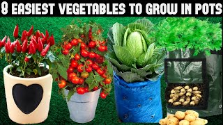 Top 8 Easy To Grow Vegetables For BeginnersSEED TO HARVEST [upl. by Alyam]