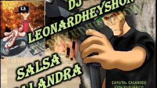 Salsa Malandra Dj Leonardheyshon Desde Carutal Calabozo Edo Guárico [upl. by Ellevart]