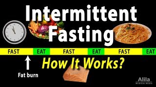 Intermittent Fasting  How it Works Animation [upl. by Chelsie]