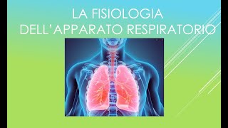 Fisiologia dellapparato respiratorio [upl. by Amabil408]