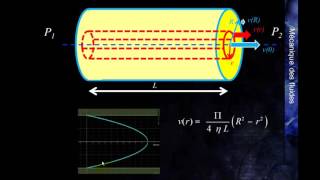 MK Flu 4  3B2  Démonstration de la loi de Poiseuille [upl. by Aslam]