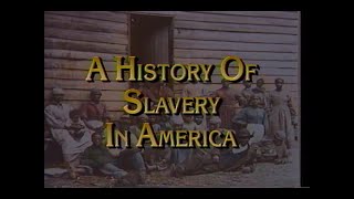 A History of Slavery in America Full Documentary  HQ [upl. by Enyalahs]