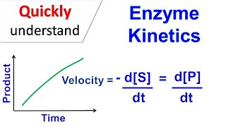 Enzyme kinetics [upl. by Theurich]