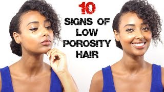 Top 10 Signs of Low Porosity Natural Hair [upl. by Oz]