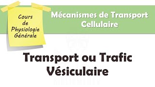 Physiologie Générale  Transport Vésiculaire [upl. by Corwun982]