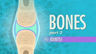 Joints Crash Course Anatomy amp Physiology 20 [upl. by Reisinger]